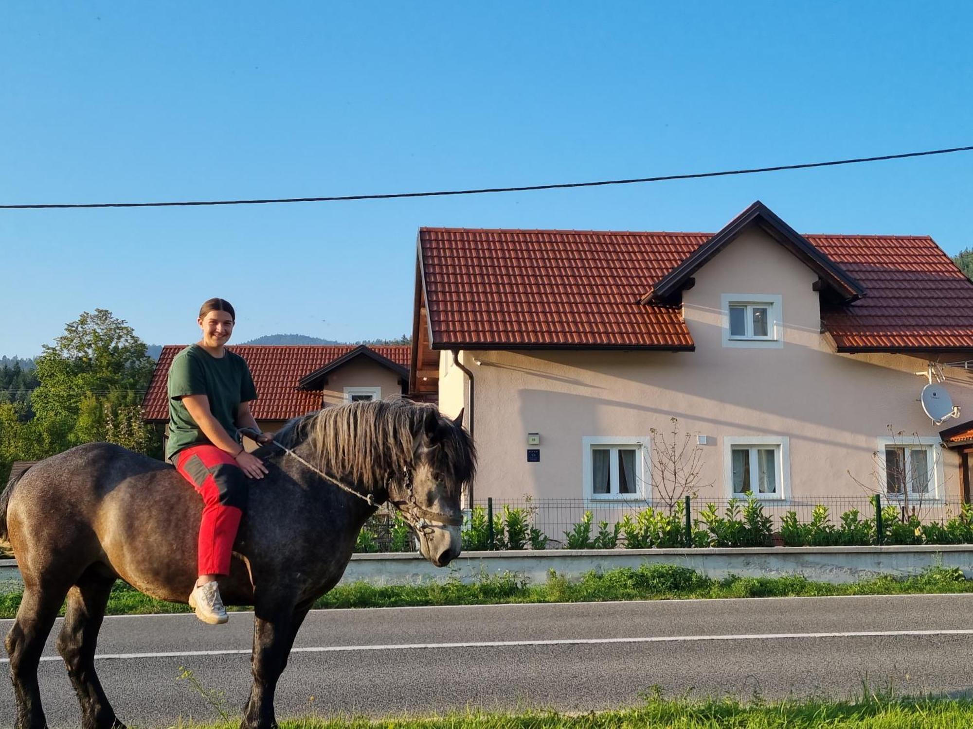 Villa Lady Di Plitvice Vrhovine Екстер'єр фото