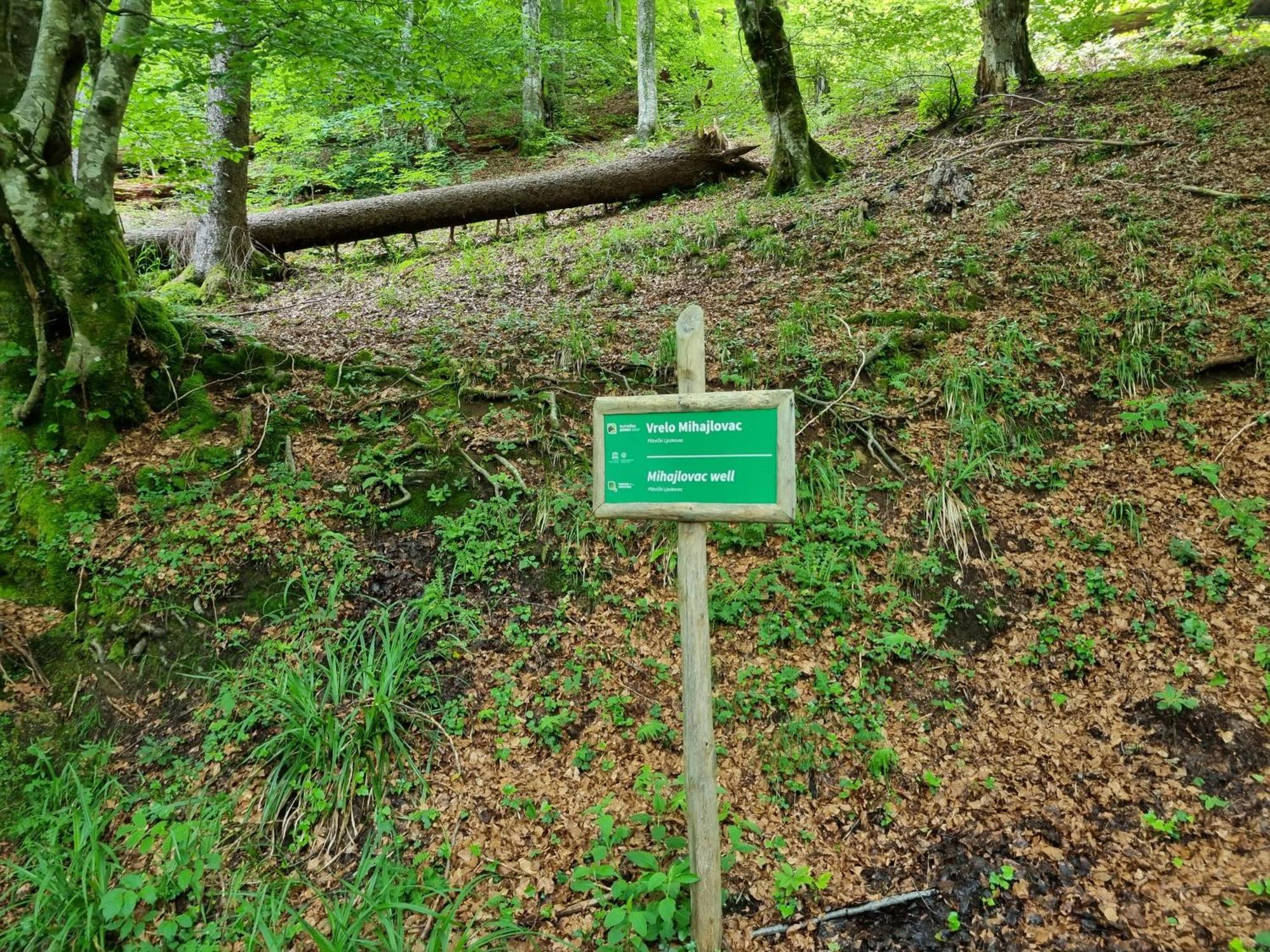 Villa Lady Di Plitvice Vrhovine Екстер'єр фото